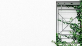 demo-attachment-1103-ben-neale-29w9FiMWSr8-unsplash-1024x1024