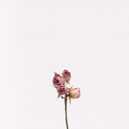 demo-attachment-1111-tanalee-youngblood-fsdWYNTymjI-unsplash-1024x1024